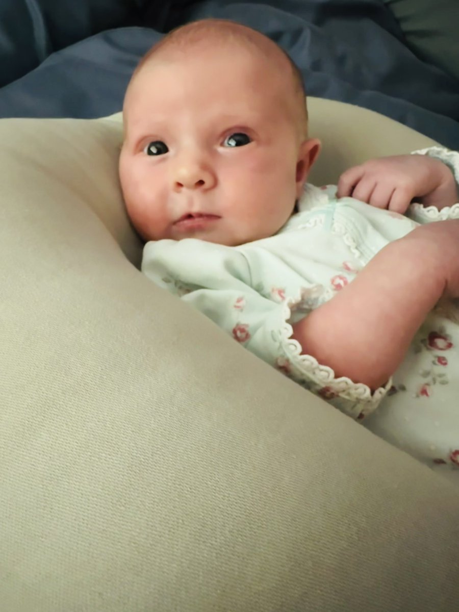 jen_fv's tweet photo. New gig alert…. absolute best one I’ll ever have. Welcome Yolande Freddie Varga, born 1-23-23. We’re both doing awesome. https://t.co/UA4Scv7Ouf