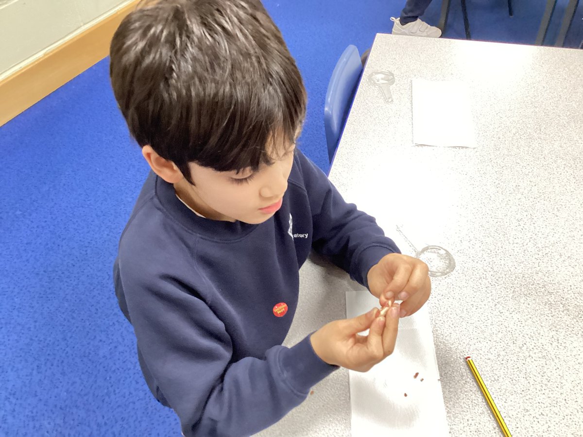 Year 2 at Staines Prep tweet media