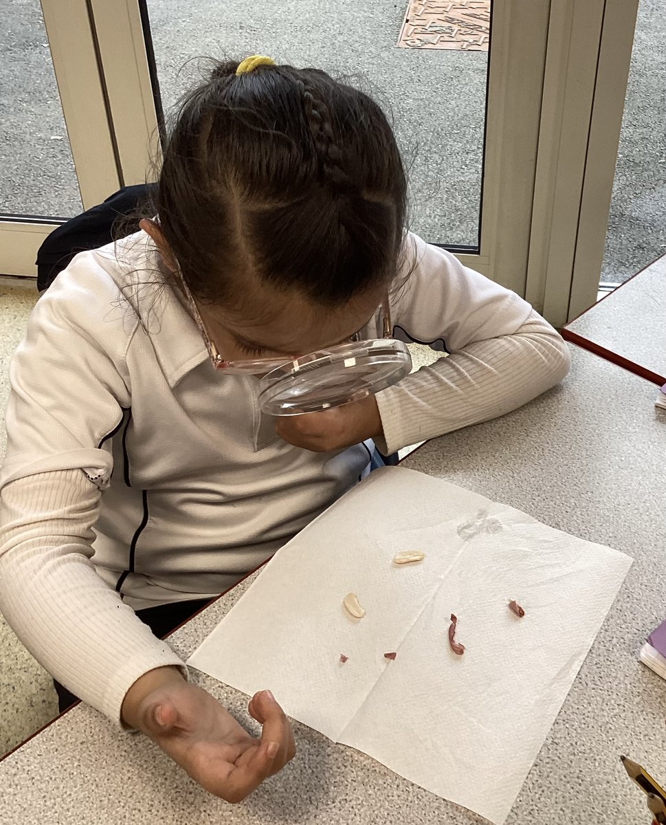 Year 2 at Staines Prep tweet media