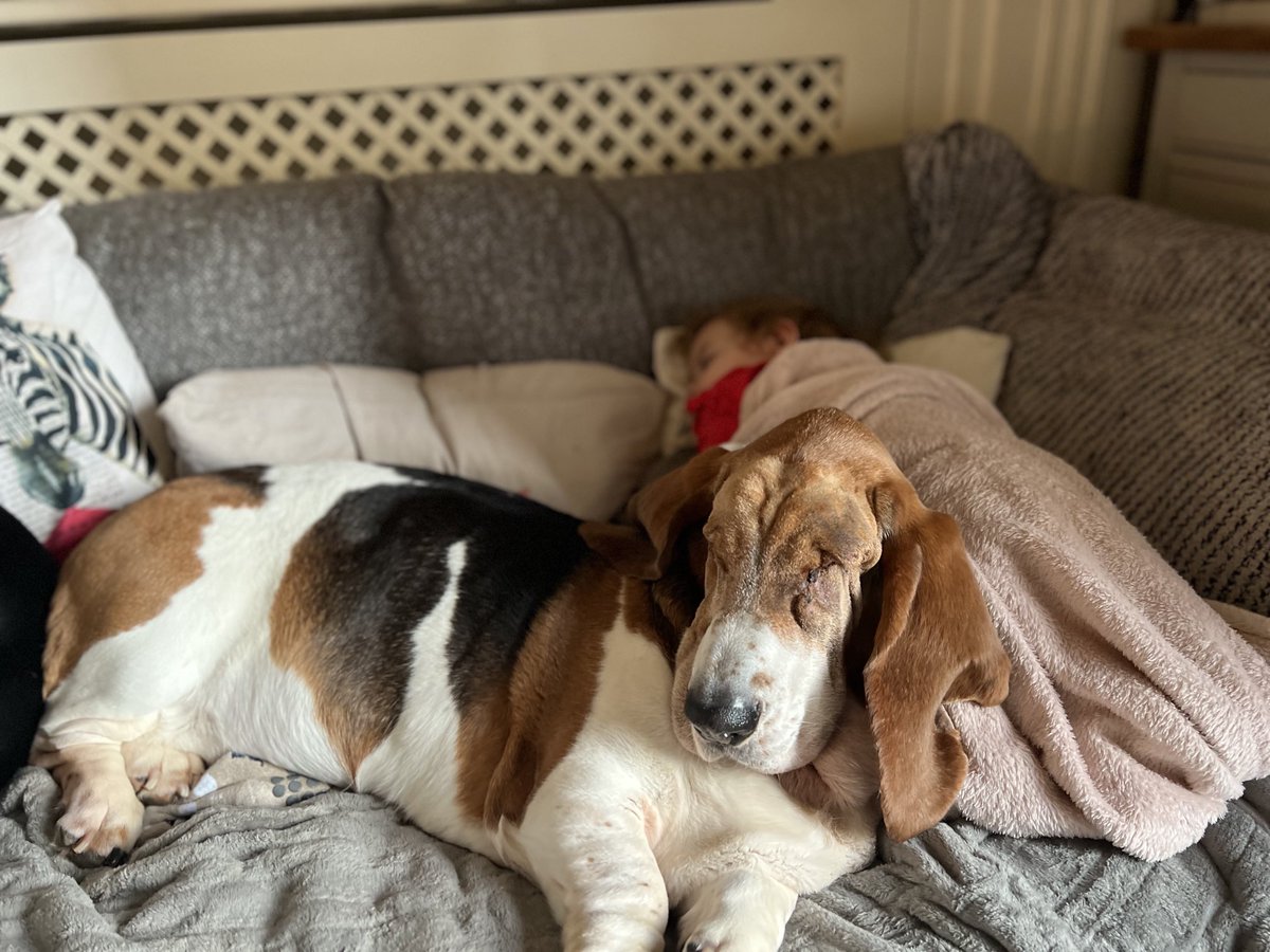 Sharron Davies HoL MBE tweet media