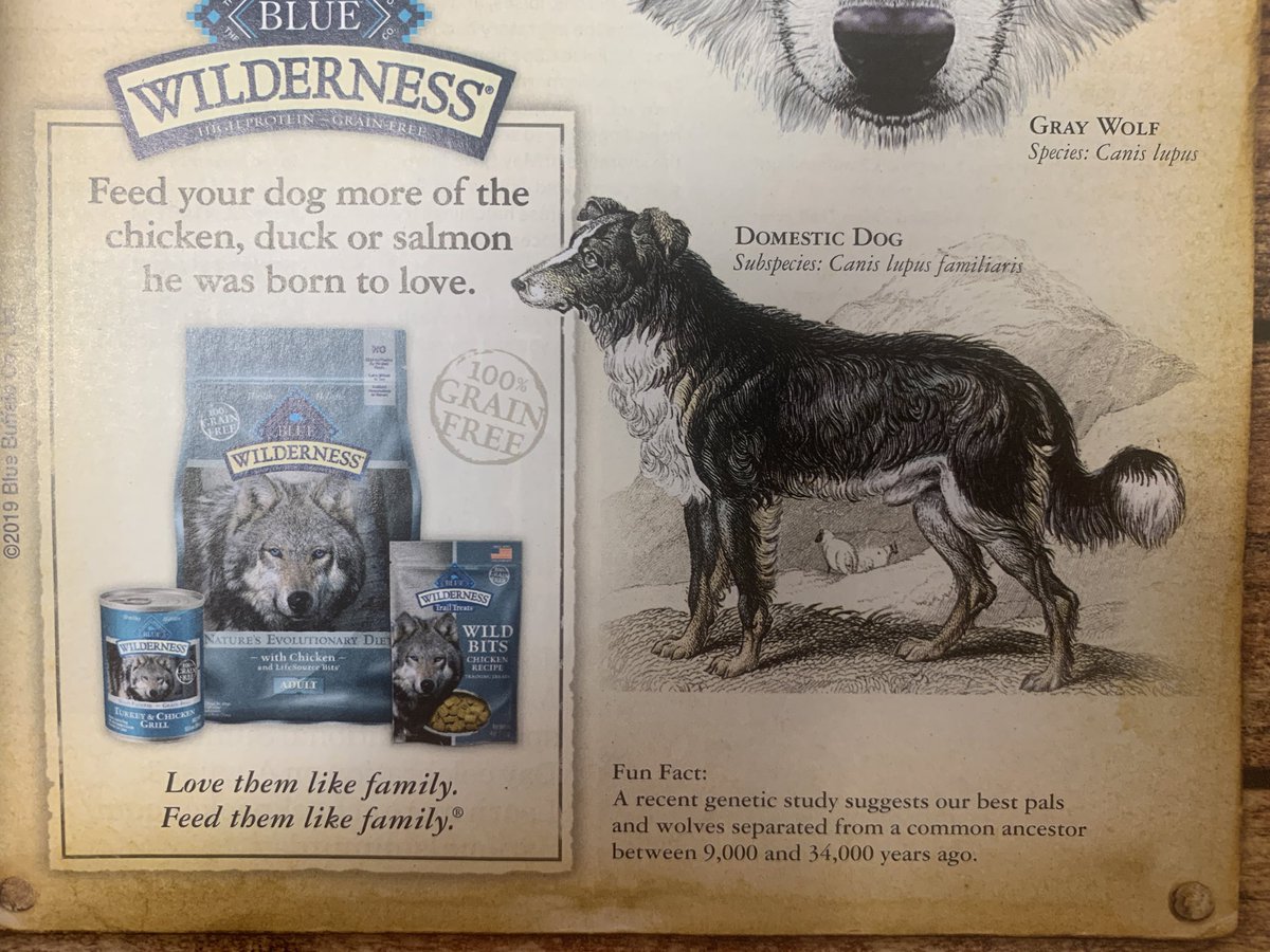 jdm1807's tweet photo. #RITENGL212

Feed your dog

Chicken
Duck
Salmon

Domestic
Common https://t.co/IkIopiEx5q
