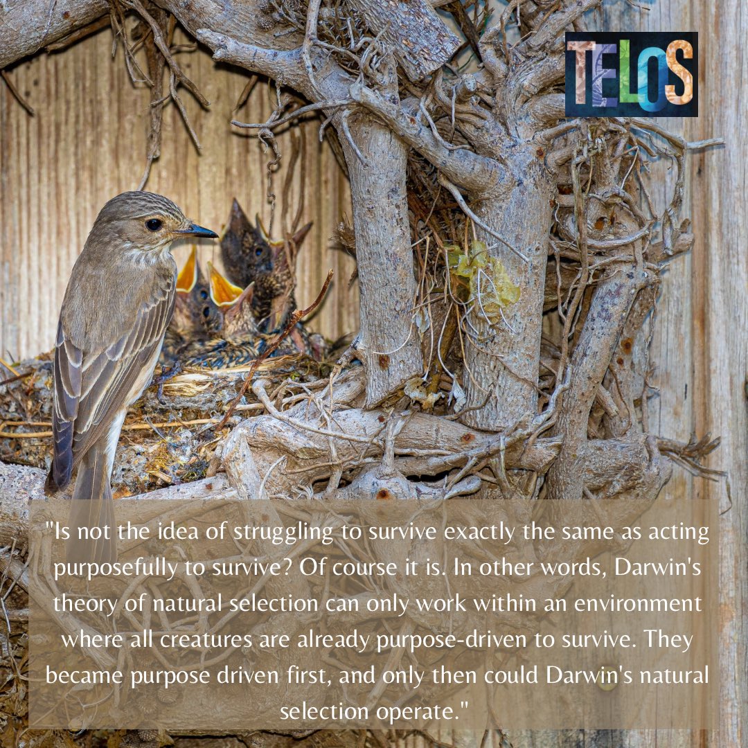 oncoiaco's tweet photo. Read more about “the end as it was intended” in Dr. Iacoboni’s new book Telos. #purposedrivenlife #darwin #naturalselection #telos https://t.co/YSuI0S1Bm5