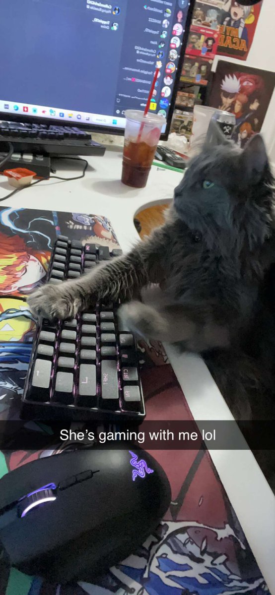 CREQ47's tweet photo. @Razer https://t.co/yu5UHWS3fN