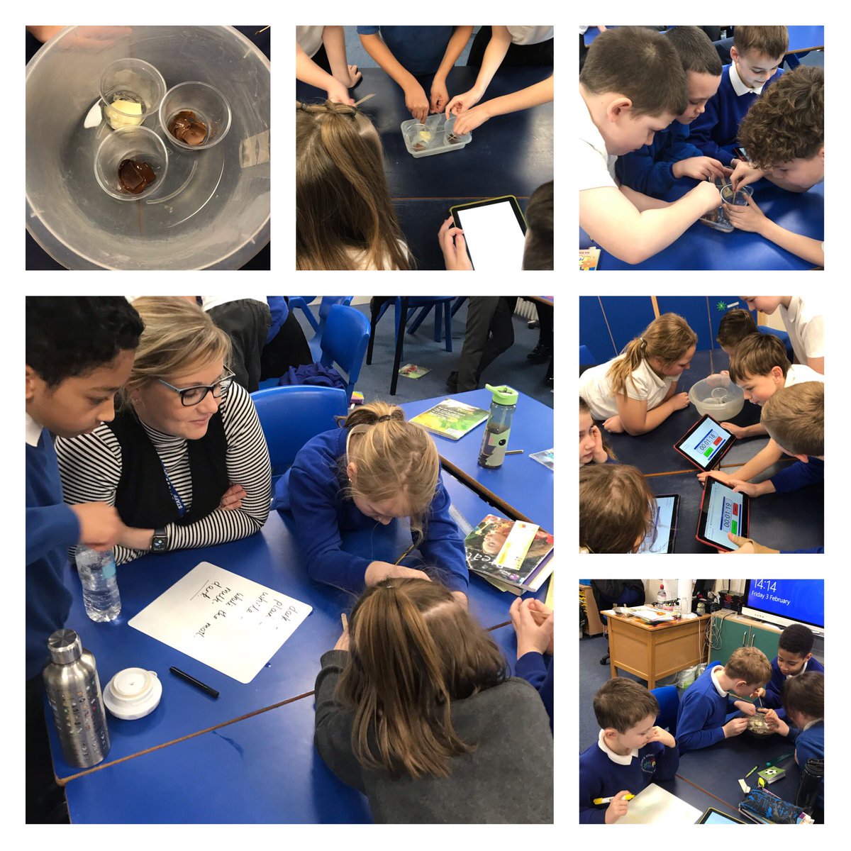 hiwjstaffs's tweet photo. Today year 4 have been investigating the melting points of different types of chocolate. We also made sure that we could create a fair test.
#fiertescience
#Year4science https://t.co/q4qD7VZvOH