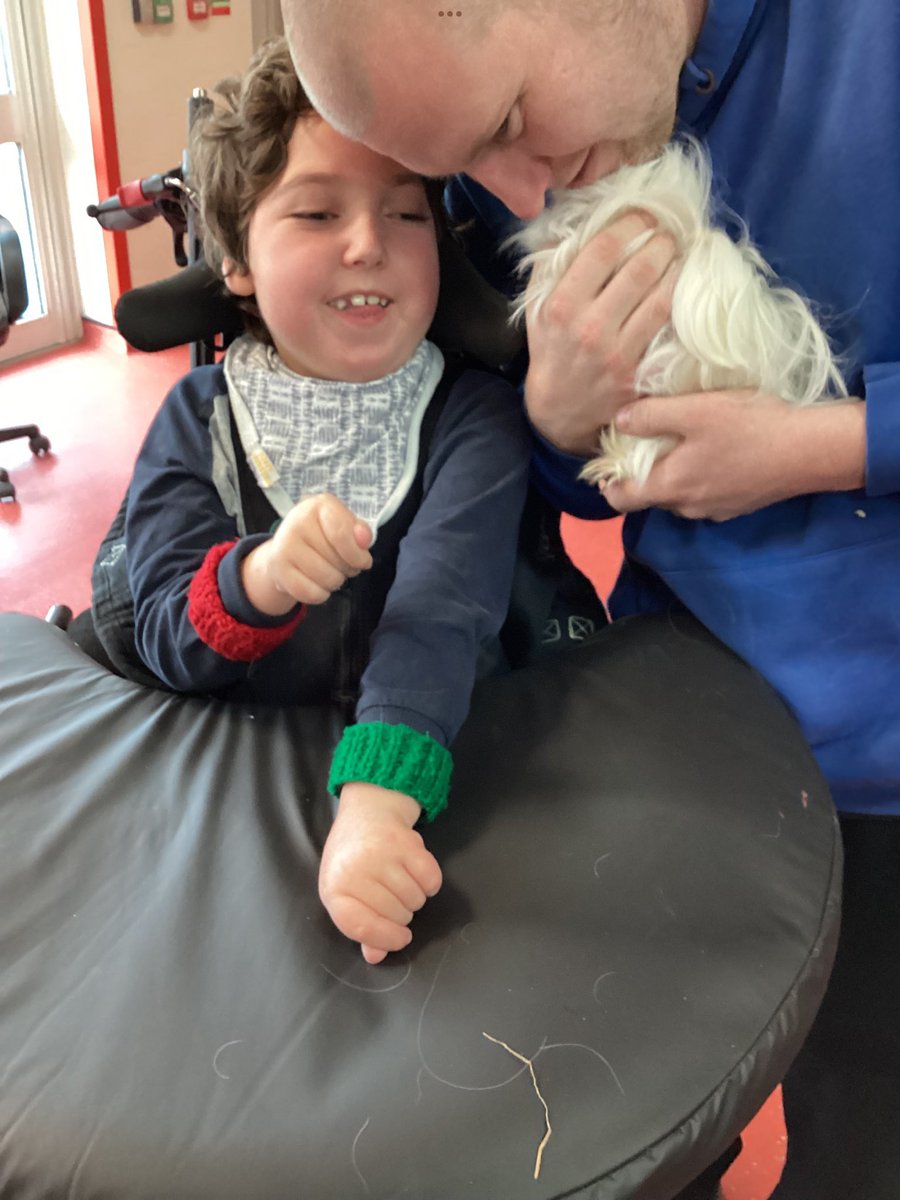 IvyHouseSchool's tweet photo. Emeralds had lots of fun yesterday meeting a variety of visiting animals from CJ's pets 2U. They enjoyed looking, feeling, and listening to the different sounds they made. Some of them even held a snake! 🐍🐰 https://t.co/TdoItsnye2