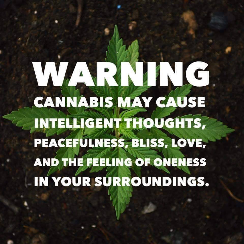 daviddinenberg's tweet photo. This is my kind of warning label!! A little different than the pharmaceutical warning labels!! #Cannabis #LegalizeIt #CannabisCommunity #Mmemberville https://t.co/YYPjx8PWOA