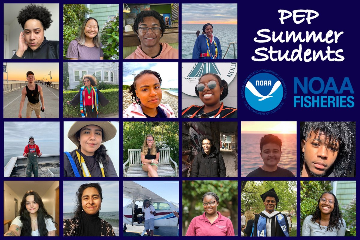 Hurry—#INFISHInternship &amp; #PEPInternship applications are due 2/10! Underrepresented groups in science &amp; mgmt encouraged to apply. Info: bit.ly/3EZbNcK. 2022 students &amp; projects: bit.ly/3iep0pa. #DiversityAndInclusion #DiversityInSTEM #Paid #Internships