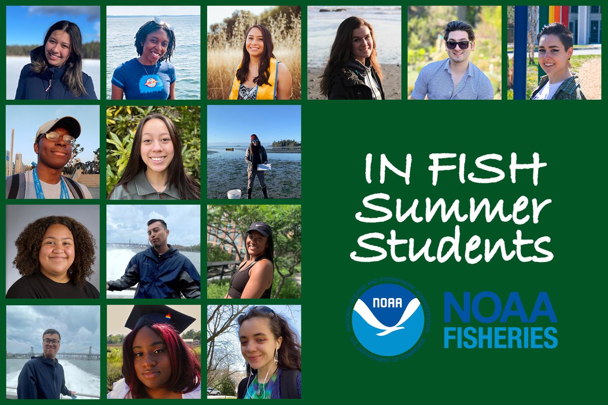 NOAAFish_NEFSC tweet media