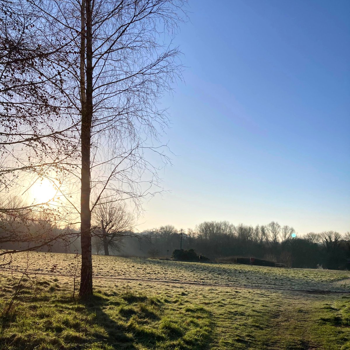 UEALibrary's tweet photo. Need to take a break from studying? Or grab some fresh air before you dive back in? UEA has got you covered. Just take a look at how beautiful it was on a frosty morning last week βοΈ
#ThisIsUEA #UEALibrary #UEALake #LibraryLife #LibraryViews https://t.co/F6nrPpMzDx