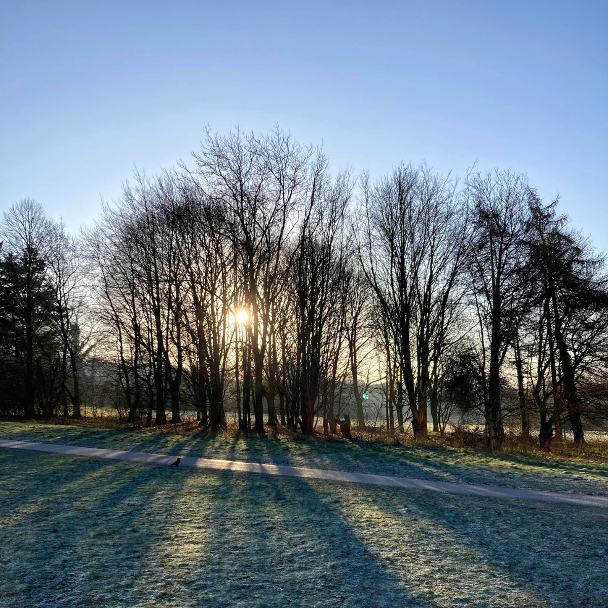 UEALibrary's tweet photo. Need to take a break from studying? Or grab some fresh air before you dive back in? UEA has got you covered. Just take a look at how beautiful it was on a frosty morning last week βοΈ
#ThisIsUEA #UEALibrary #UEALake #LibraryLife #LibraryViews https://t.co/F6nrPpMzDx