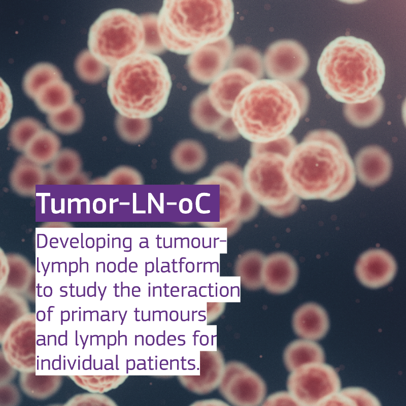 EU_HaDEA's tweet photo. It's #WorldCancerDay 📆

Did you know that #HaDEA manages projects working to improve the detection and treatment of #cancer?

Discover some of the new devices and tools that #H2020 projects are developing in this field ⤵️
