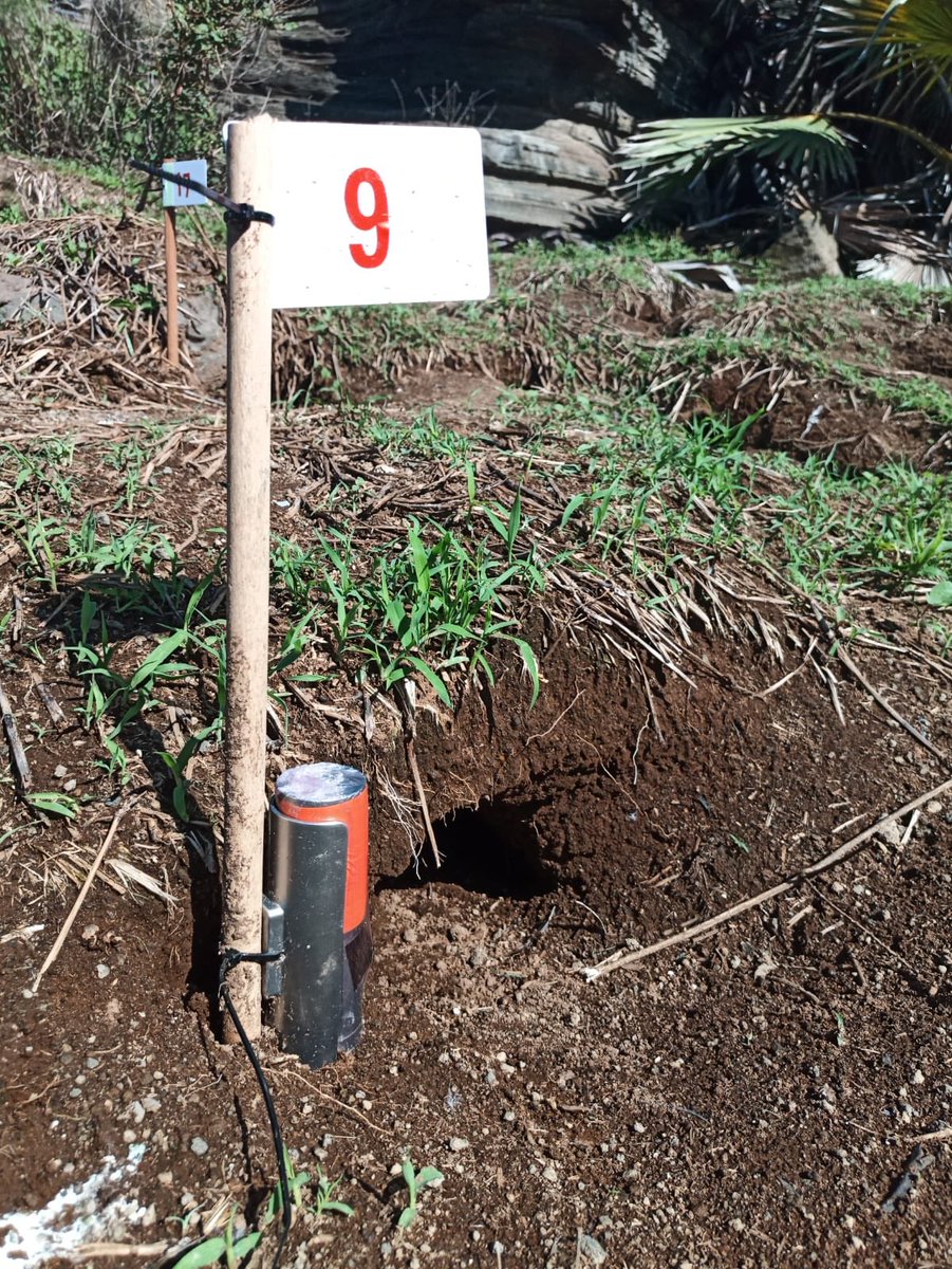 ⛴ 🌏 Marine Science 🐠 🐟 tweet media