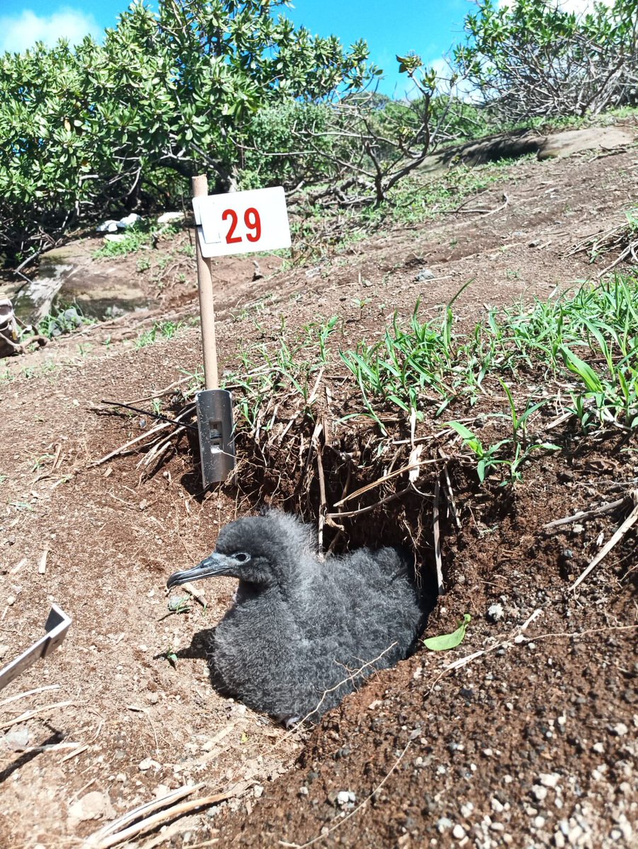 ⛴ 🌏 Marine Science 🐠 🐟 tweet media