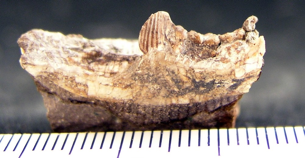 Darin Croft tweet media