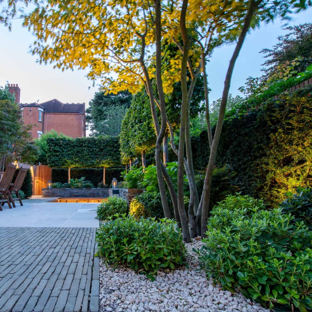 Outdoor landscape lighting can transform your space. You can see how the brightening of steps and seating areas, as well as the planting, can create a warm and beautiful oasis of light, inviting you to explore the space.
#lighting #landscape #gardendesign #design #bowleswyer