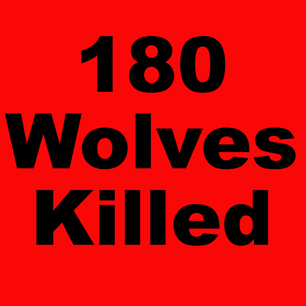 Another bad day. 6 more Montana wolves killed as of yesterday. As of February 2, 2023 Montana has killed 180 wolves. This doesn't include poaching and other human-caused mortality. Join the fight to protect our wolves an wildlife.info@wolvesoftherockies.org
#mtfwp