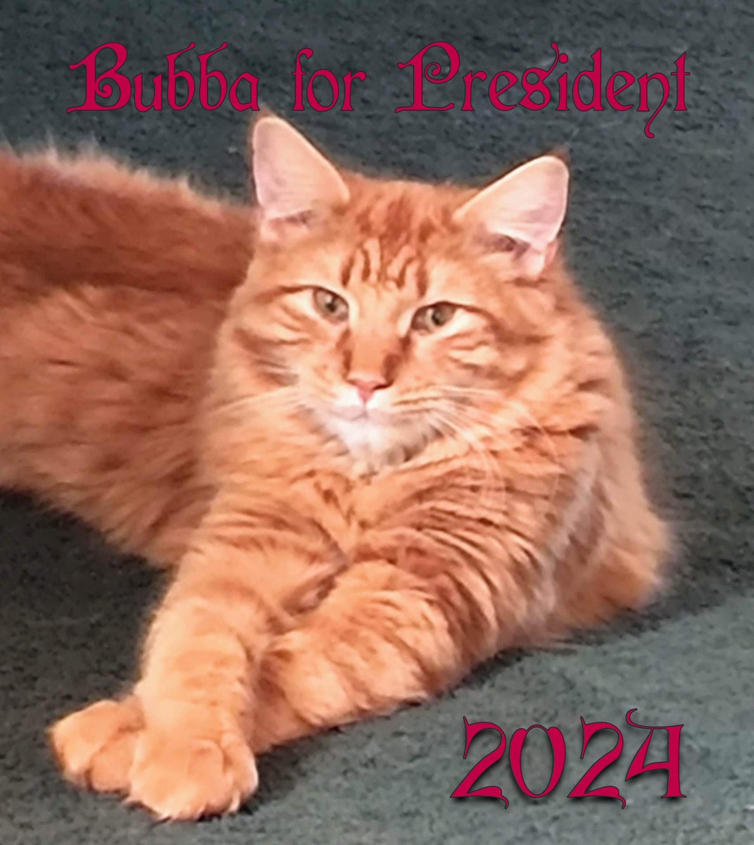 Bubbabigcat's tweet image. I have more balls then any Democrat and most Republicans and I've been neutered.