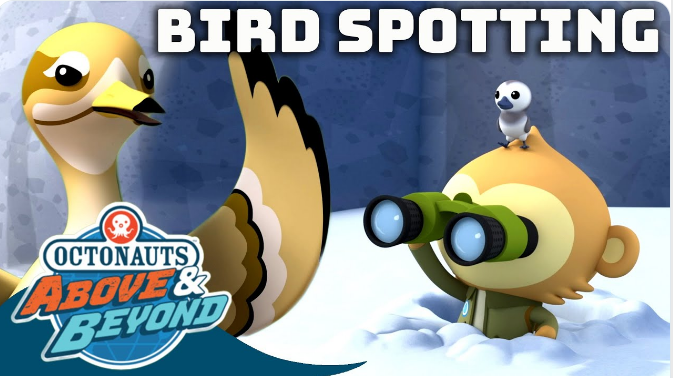 Check out the Bird Spotting Special 🦅🦜🕊 compilation on our YouTube channel! youtube.com/watch?v=UsSTlY…

#octonauts