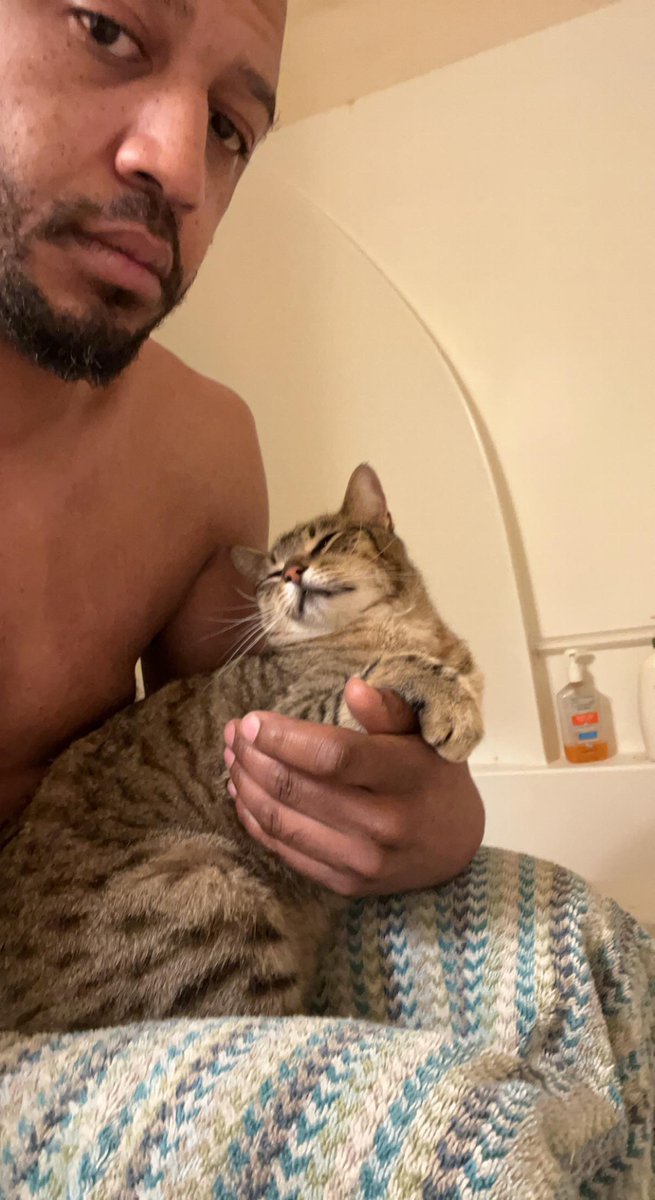 Michael's Cat tweet media