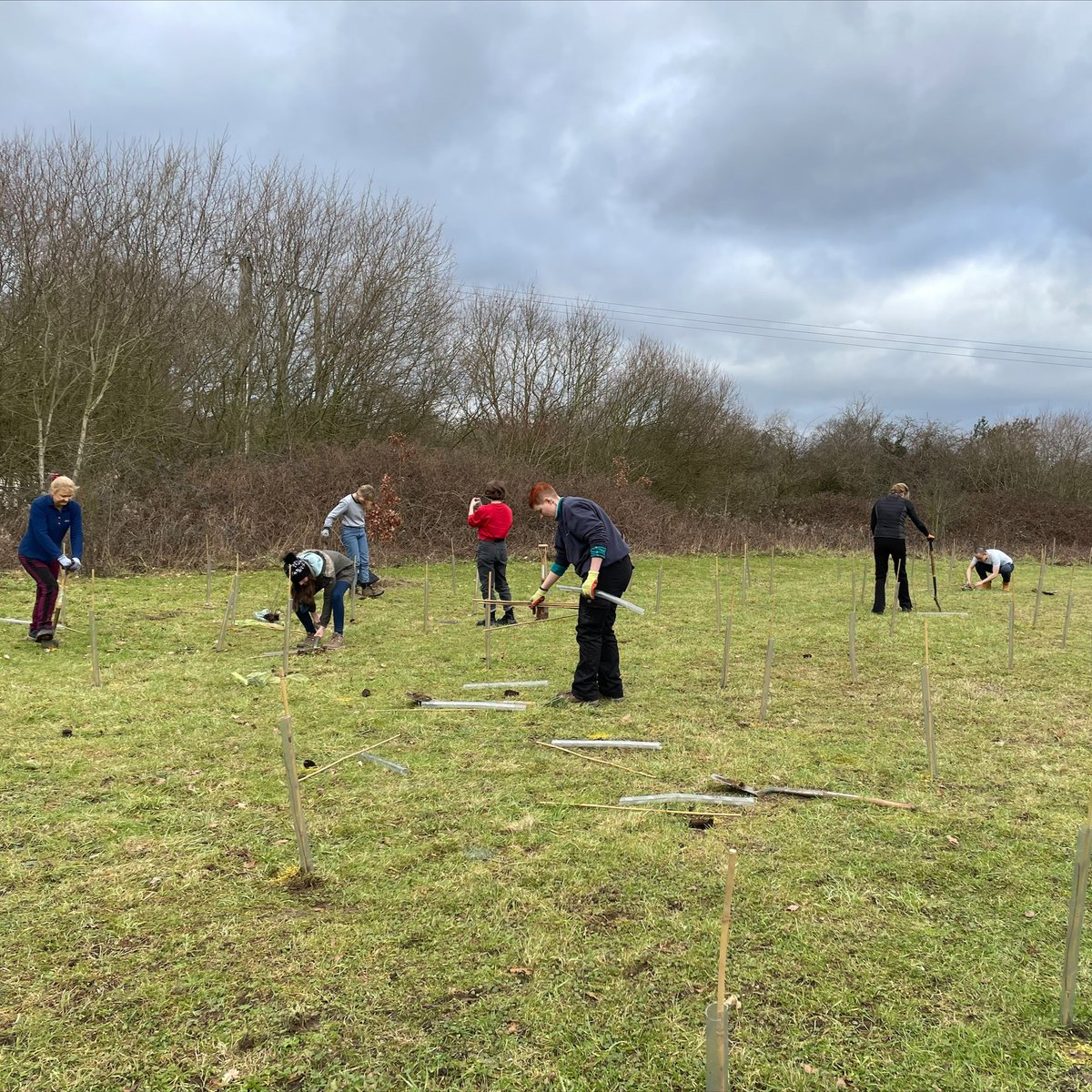 University of Warwick on Twitter "Warwick students are branching out with the Queen's Green