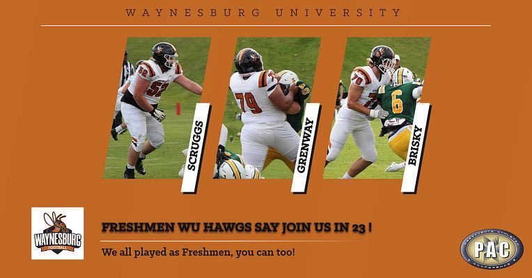 These young WU HAWGS say come to the WU in 23! @WU_SWARM