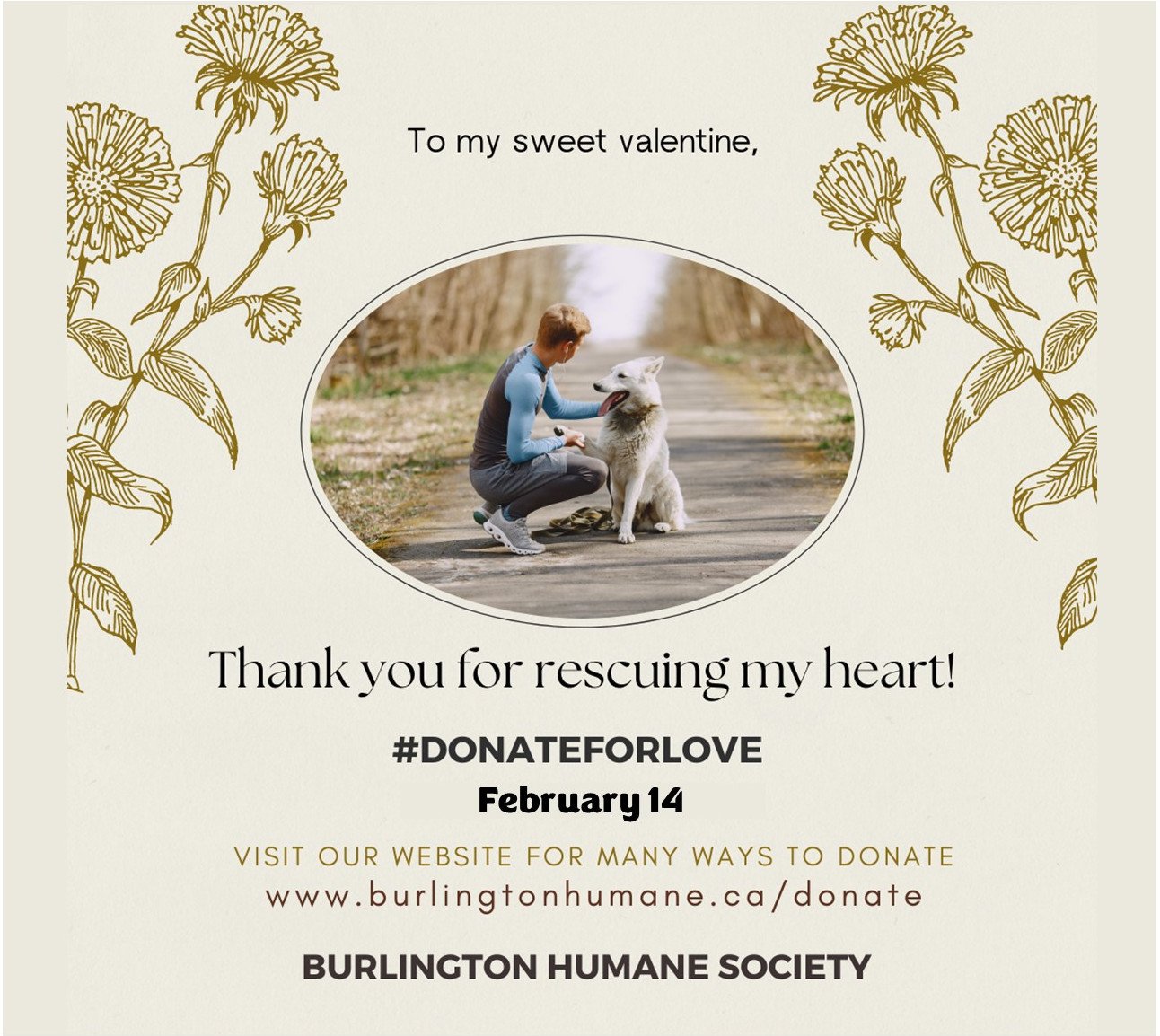 Burlington Humane Society (@BurlHumane) / Twitter