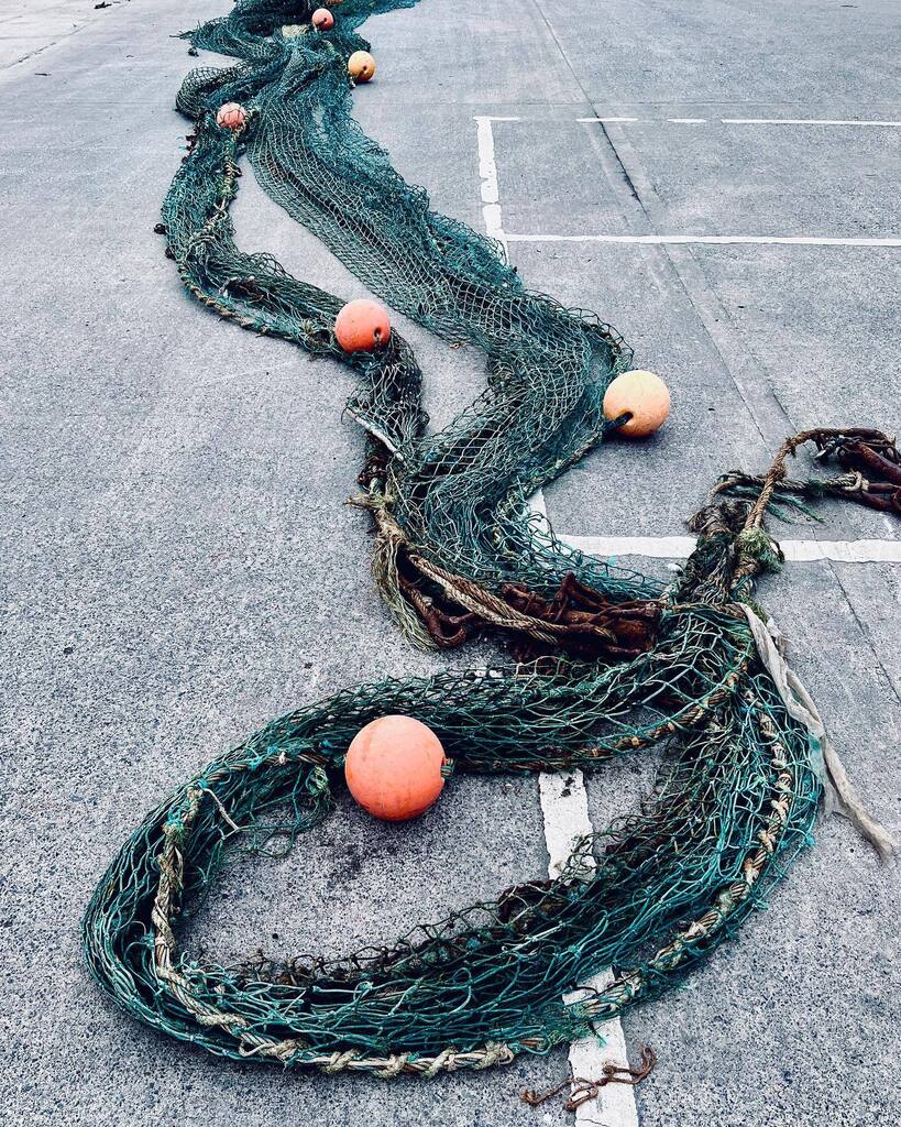 Ball in the net. #fishing #quayside  #tyneside #northshields #fishquay