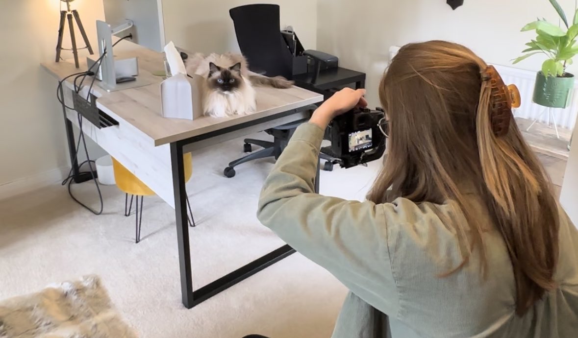 .<a href="/elasticpie/">Elastic Pie</a>: Can we come over and talk to you about your game?
Me: You want to talk to me? Just film me talking about my game?
EP: Yep  that’s right.
Me: You want to talk to me, Nat, the human?
EP: Yeah yeah.
Me: Ok, come on over.
EP: