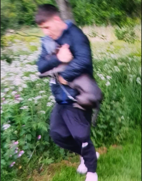 #APPEAL We're investigating a report of assault in #Northumberland and need your help 👇

A 67-year-old man was walking his dog in Valley Park, Cramlington, when another man he did not know is reported to have been verbally abusive before punching and kicking him. (1/3)