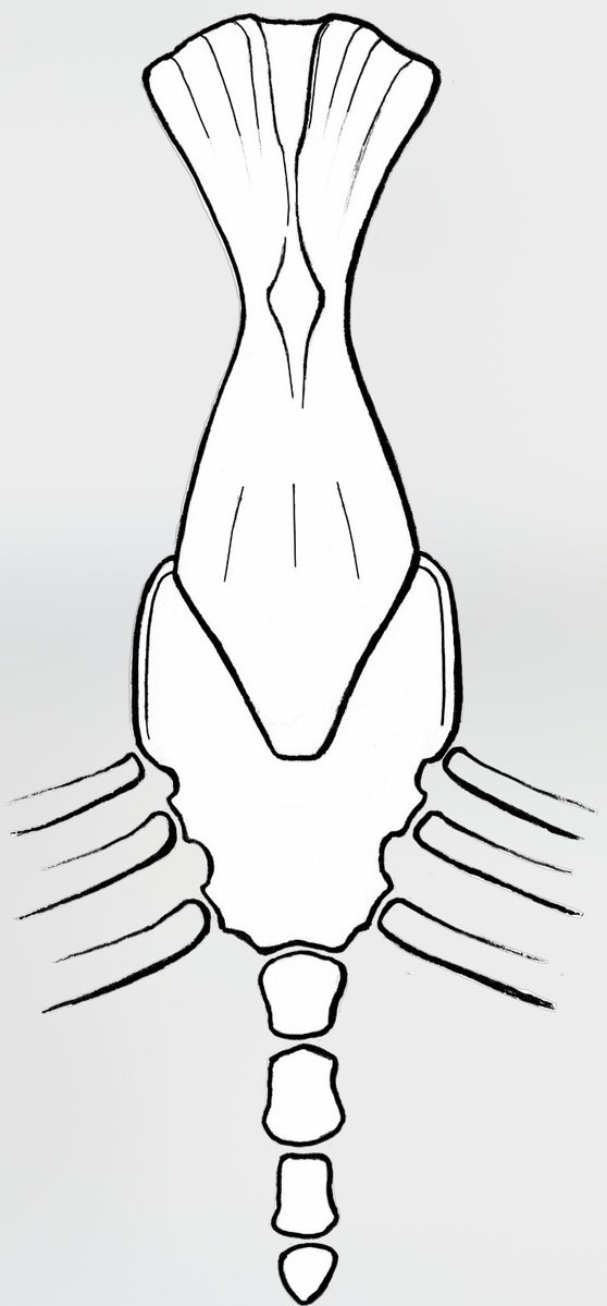 Christian A. Sidor tweet media