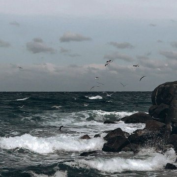 Valerie_bevs's tweet photo. the ocean <3 https://t.co/tDBmcjNTFO