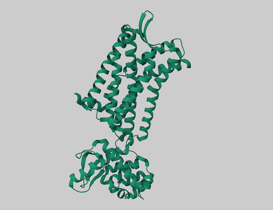 Researchers find that proteins governing the signaling functions of #CCR2 aren’t involved in the receptor’s scavenging function—hinting that signaling and scavenging CCR2 populations could be targeted independently. @ucsdbiosciences #GPCRSignaling scim.ag/1oA