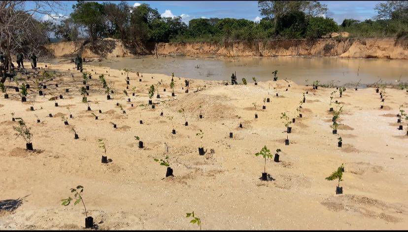 dhernandezlarez's tweet photo. #FANB inicia campaña de reforestación en el Parque Nacional Canaima para recuperar los daños ocasionados por la minería ilegal de grupos inescrupulosos que arbitrariamente y al margen de la ley han irrumpido en los ambientes protegidos. https://t.co/moNfXPEUB3