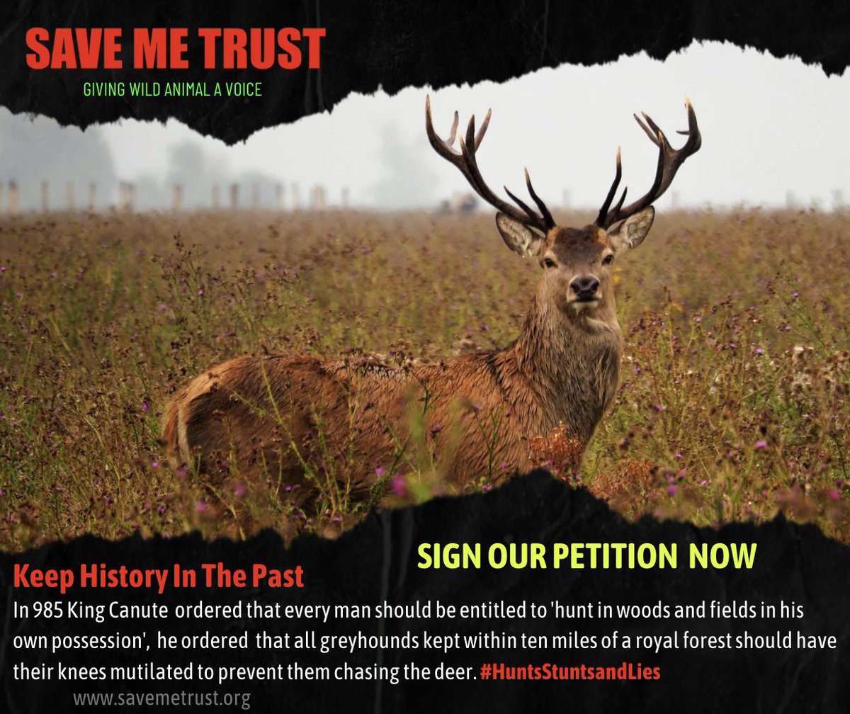 Keep history in the past. In 985 King Canute ordered that every man should be entitled to hunt in the woods and fields in his own possession. Sign our petition   savemetrust.co.uk/2021/01/02/pro…
#HuntsStuntsandLies