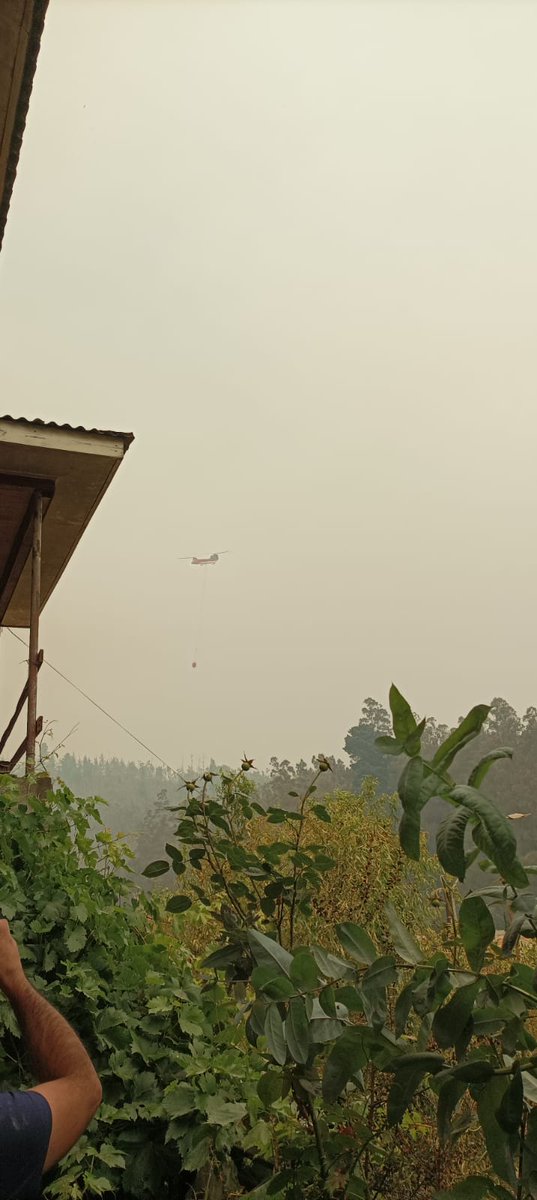 flerzund's tweet photo. Llega apoyo aéreo que se esperaba hace rato en #Tomé. Ojalá se esté terminando la pesadilla. Foto desde la casa de mis papás en California #IncendioForestal #Tomé #Chillan #EmergenciaBiobio #Emergencia #IncendiosForestales #EmergenciaClimática https://t.co/wAMYmBAx2q