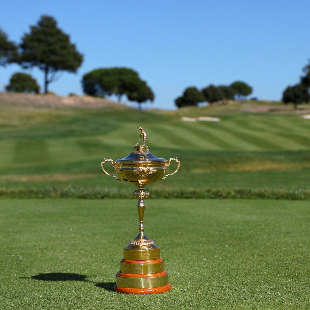 It's getting closer 🇪🇺