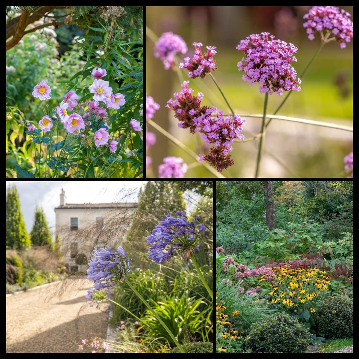 carraghpaving's tweet photo. Looking forward to leaving Winter behind, heading into Spring and working on some soft landscaping schemes!

#softlandscaping #landscapedesign #gardeninspiration #landscapearchitecture https://t.co/lhF92dPClp