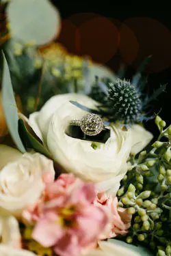 Flower Patch tweet media