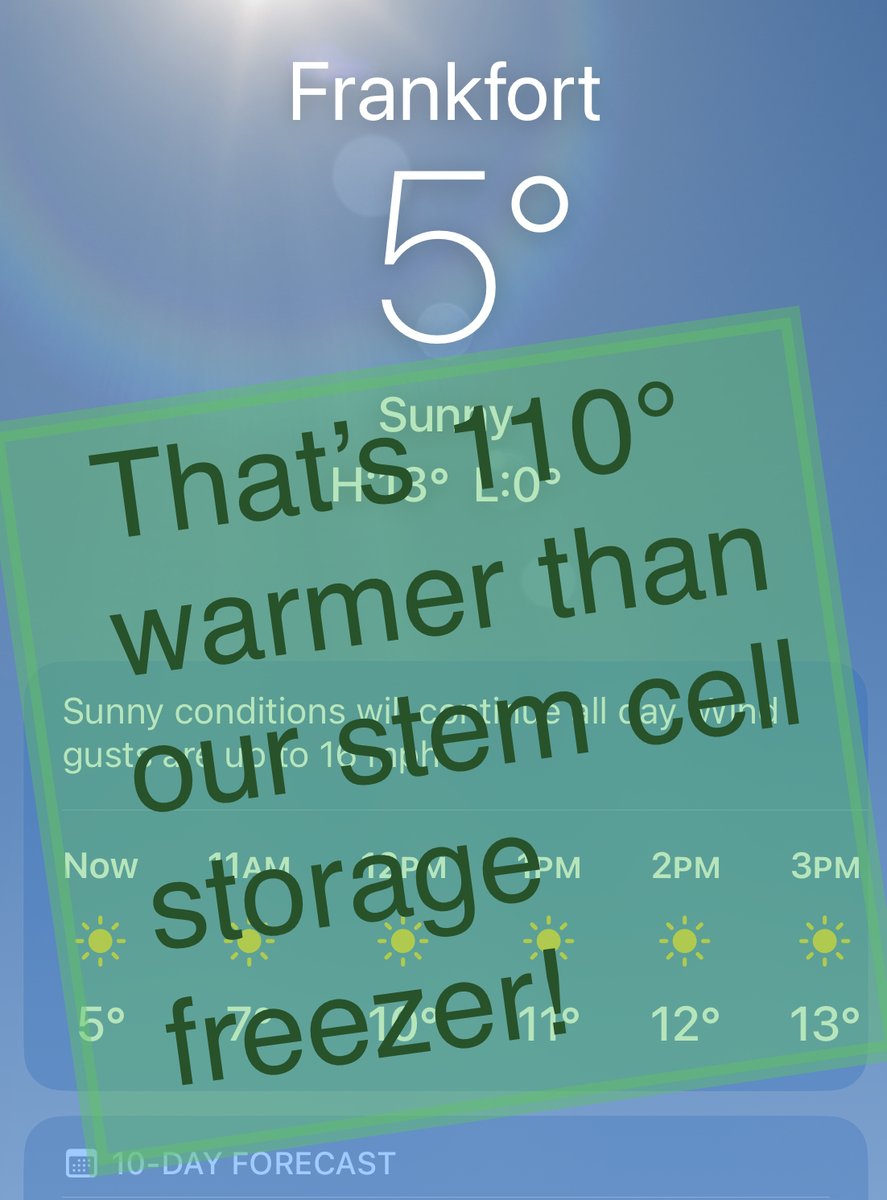 If you think it’s cold outside, imagine the inside of our stem cell storage!

#Stemcells #stemcellstorage #freezer #itscoldout #freezing #midwestwinter #chicagoweather #chicagowinter #illinoisweather #freezingtemps #paintreatment #painrelief