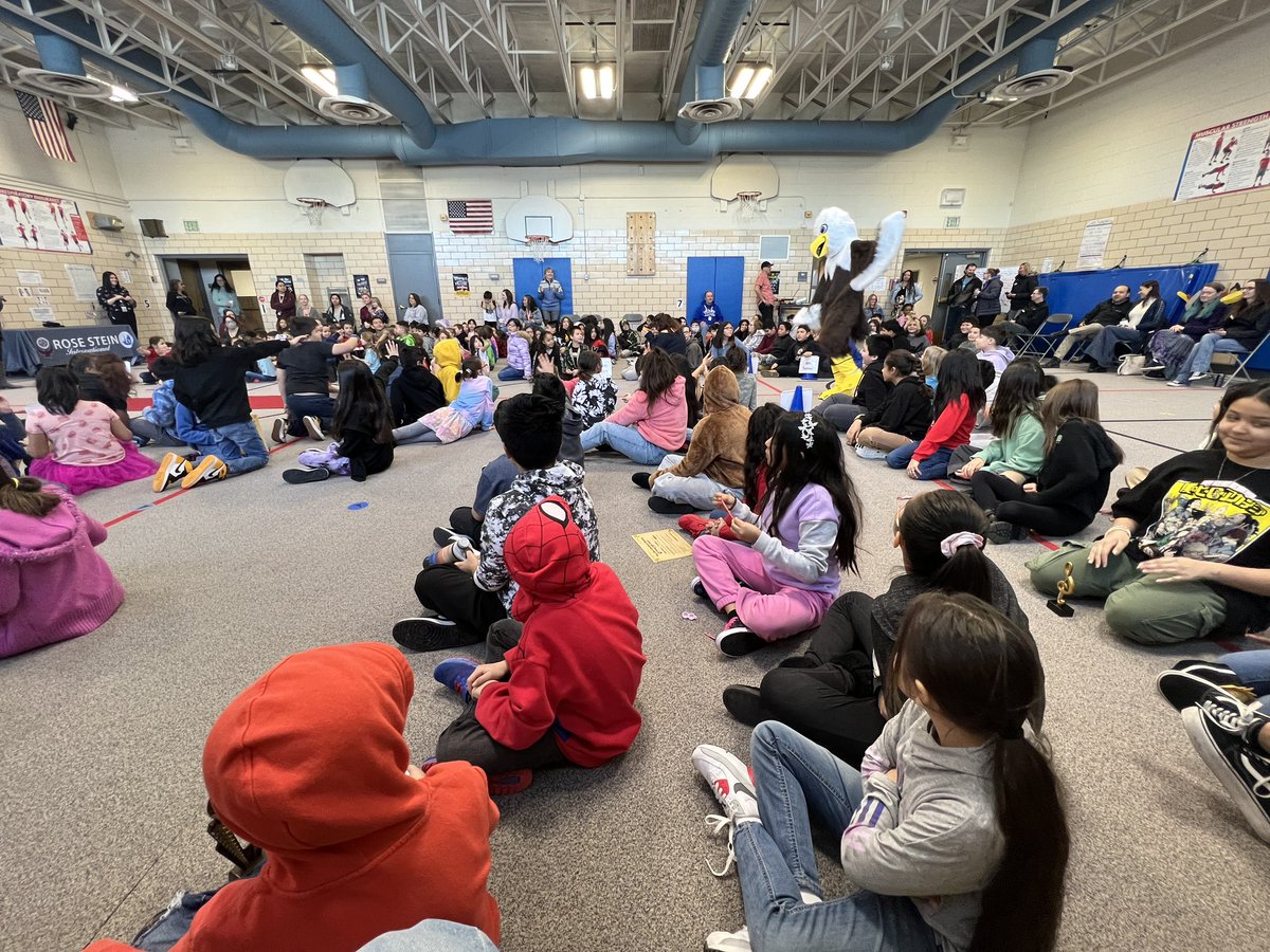 Rose Stein International tweet media