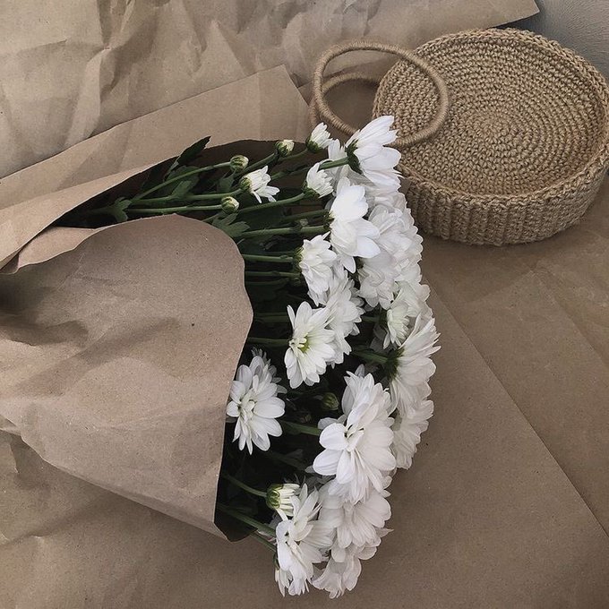 Valerie_bevs's tweet photo. white flowers <3 https://t.co/B05ShPfZWB