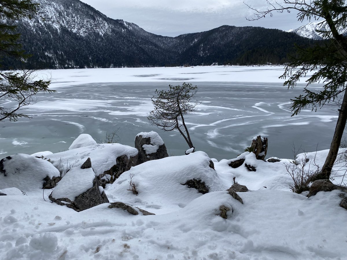 Herrmaennchen's tweet photo. Schnee gesucht und gefunden. #Spaziergang #Eibsee https://t.co/EiKGasPnpP