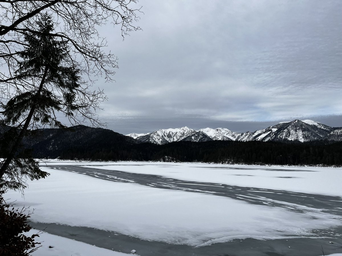 Herrmaennchen's tweet photo. Schnee gesucht und gefunden. #Spaziergang #Eibsee https://t.co/EiKGasPnpP