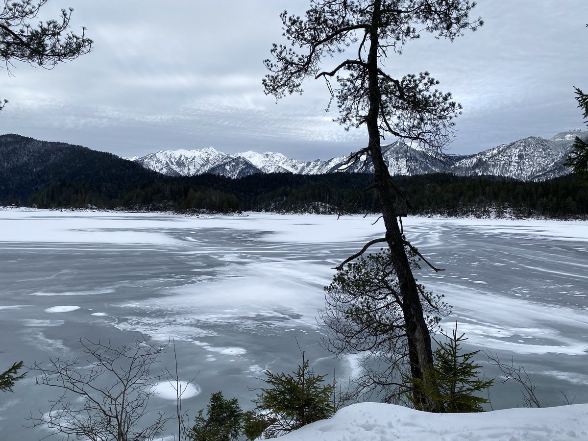 Herrmaennchen's tweet photo. Schnee gesucht und gefunden. #Spaziergang #Eibsee https://t.co/EiKGasPnpP