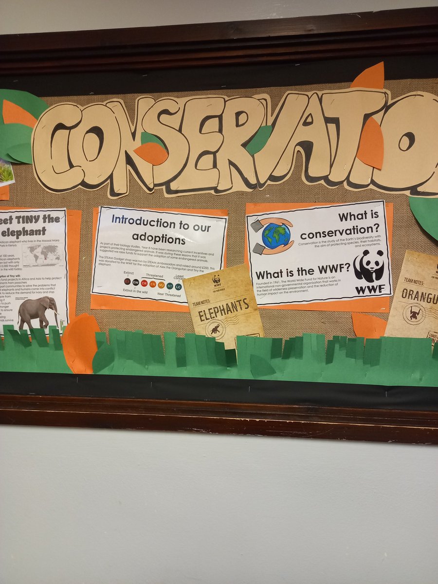 OPSScience's tweet image. We adopted an elephant and an orangutan as part of our conservation unit! A fully pupil led project by our STEAM Ambassadors with over £200 raised for our newly adopted animals with the @WWF. Well done @OPS_OratoryPrep pupils! We proudly introduce Alex and Tiny! #STEMeducation