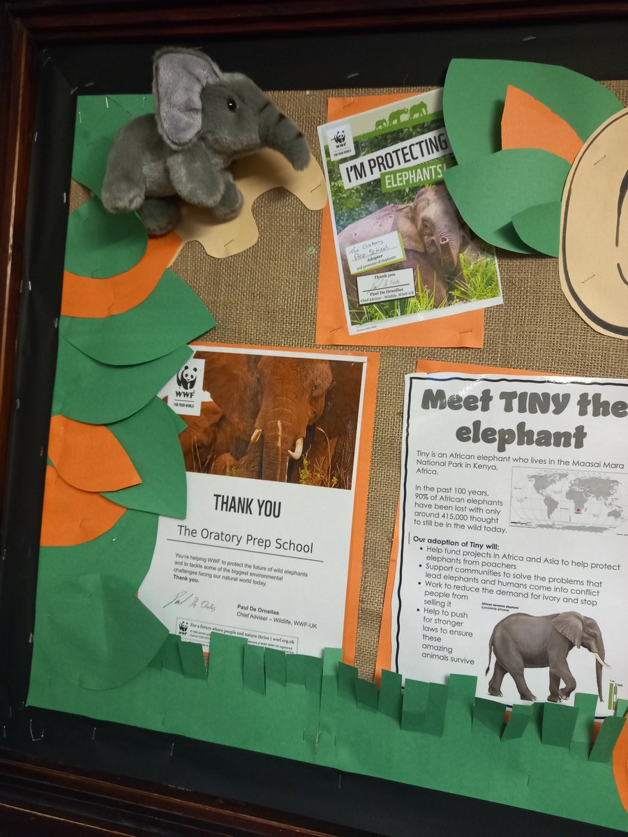 OPSScience's tweet image. We adopted an elephant and an orangutan as part of our conservation unit! A fully pupil led project by our STEAM Ambassadors with over £200 raised for our newly adopted animals with the @WWF. Well done @OPS_OratoryPrep pupils! We proudly introduce Alex and Tiny! #STEMeducation