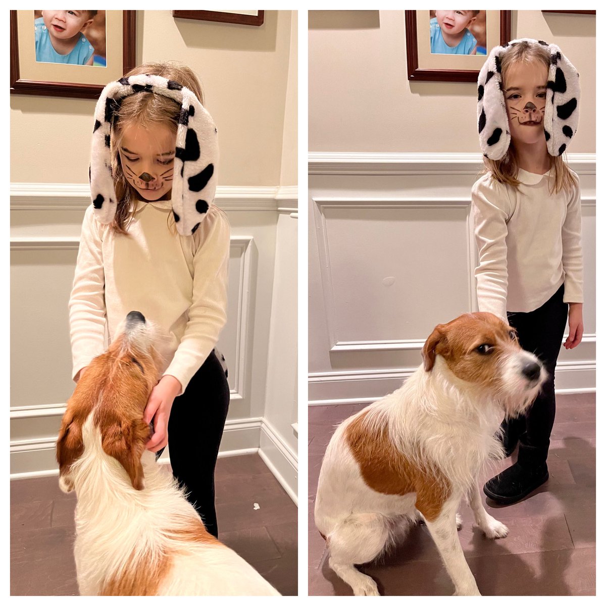 kenleyyoung's tweet photo. When your family dog excitedly rushes over to the new “dog,” only to discover that it’s NOT a new dog at all, only a family member impersonating a dog … 

Can’t stop laughing at how this went from adorable photo op to “side-eye” moment in 2 seconds flat. 😂 
#101DaysOfSchool https://t.co/o2ykqXmKeK