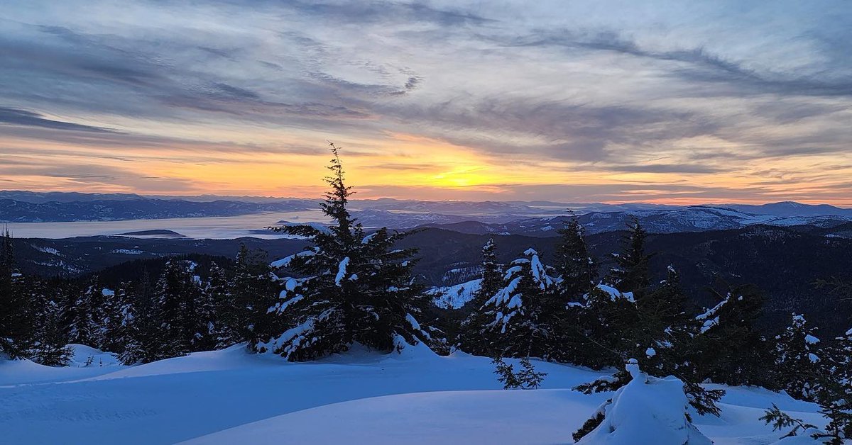 49DegreesNorth tweet media