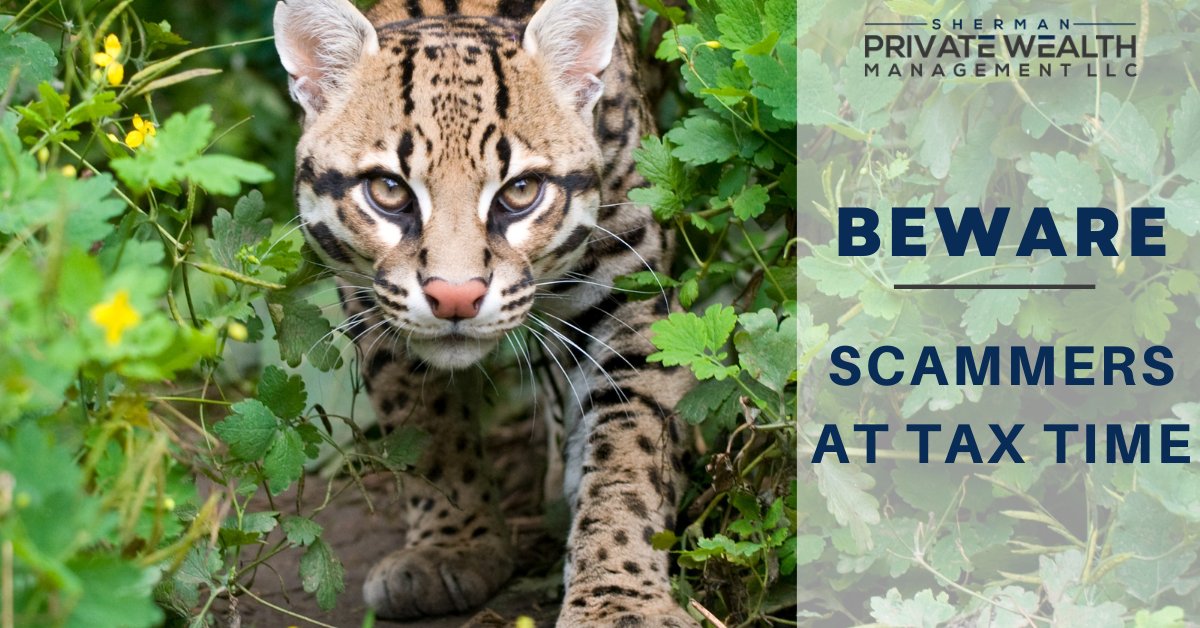 JShermanCFP_AIF's tweet image. #ICYMI

Scammers are on the prowl during tax season. Here are a few tips to help you avoid becoming prey.
hubs.ly/Q01z-xh40