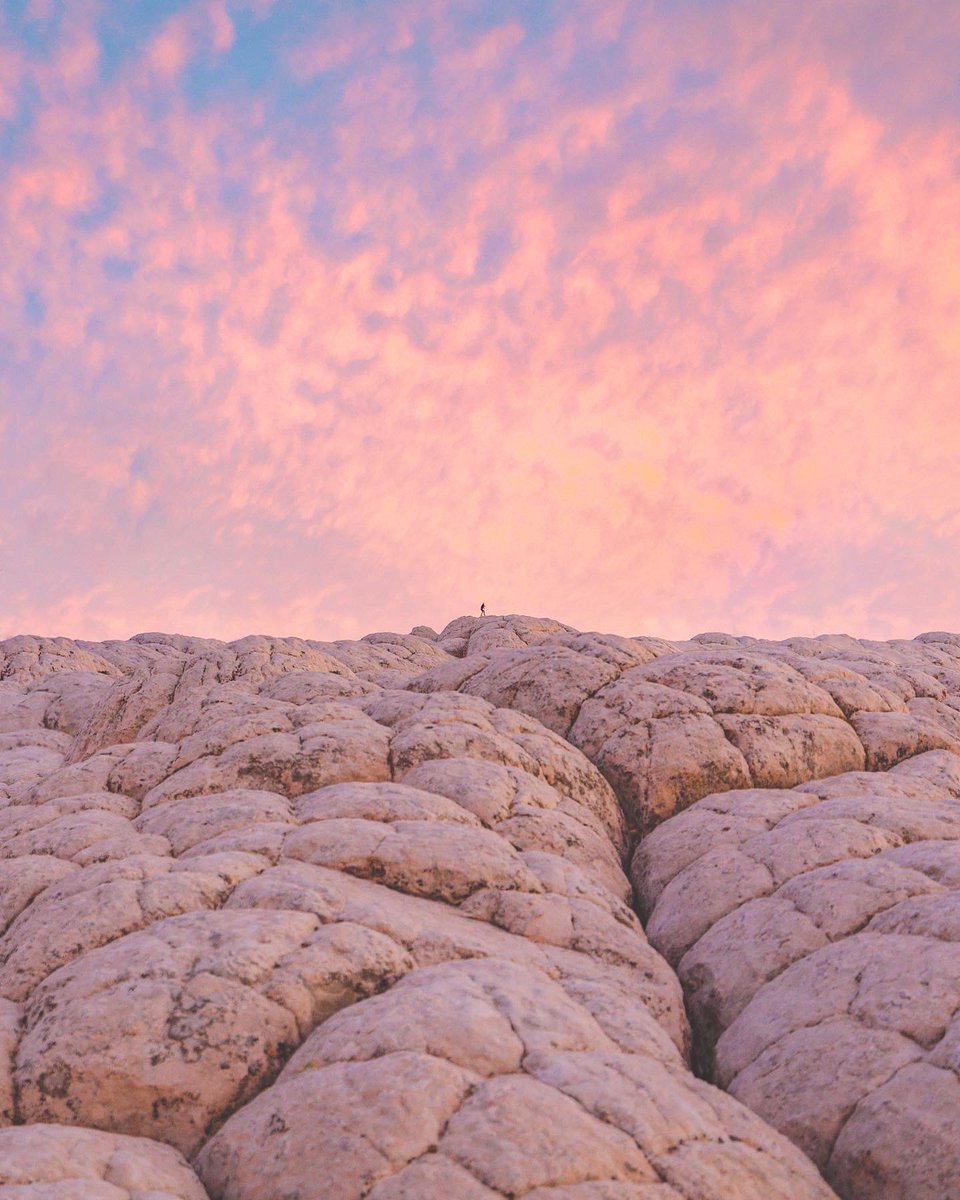 emilyshoots's tweet photo. photos i took in arizona https://t.co/PqqZbMuoRz